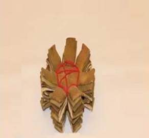 復(fù)興隆珍藏百年樹(shù)王七爪 200克 26800元