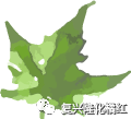 復(fù)興隆化橘紅